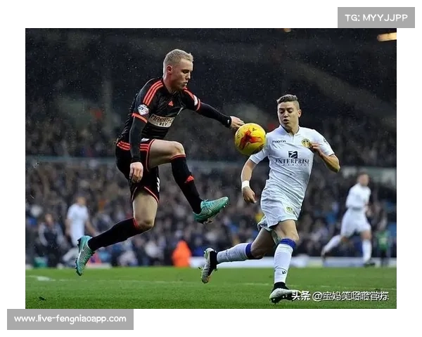 利兹联vs富勒姆：历史交锋主队占优，但富勒姆近期不败